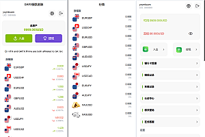 海外多语言/贵金属/外汇/虚拟币/微交易系统/vue+php